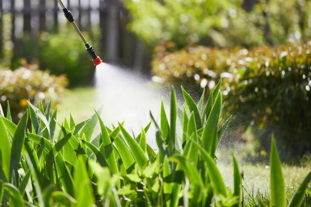 24/7 Emergency Wasp Removal experts in Myrtletown, CA